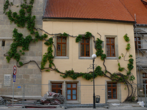 LWÓWEK ŚLĄSKI ratusz 3