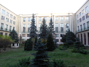 SAM_2631